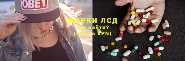 стафф Бородино