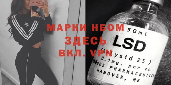 PSILOCYBIN Богданович