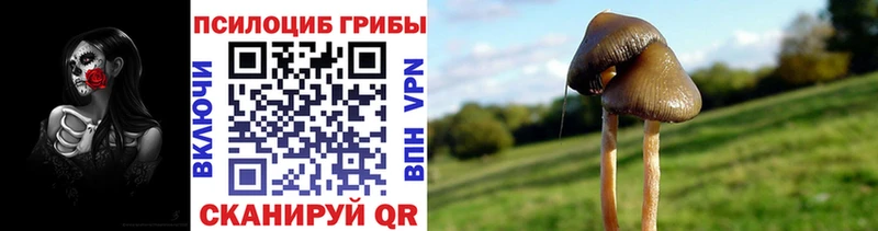 Галлюциногенные грибы Magic Shrooms  Купино 